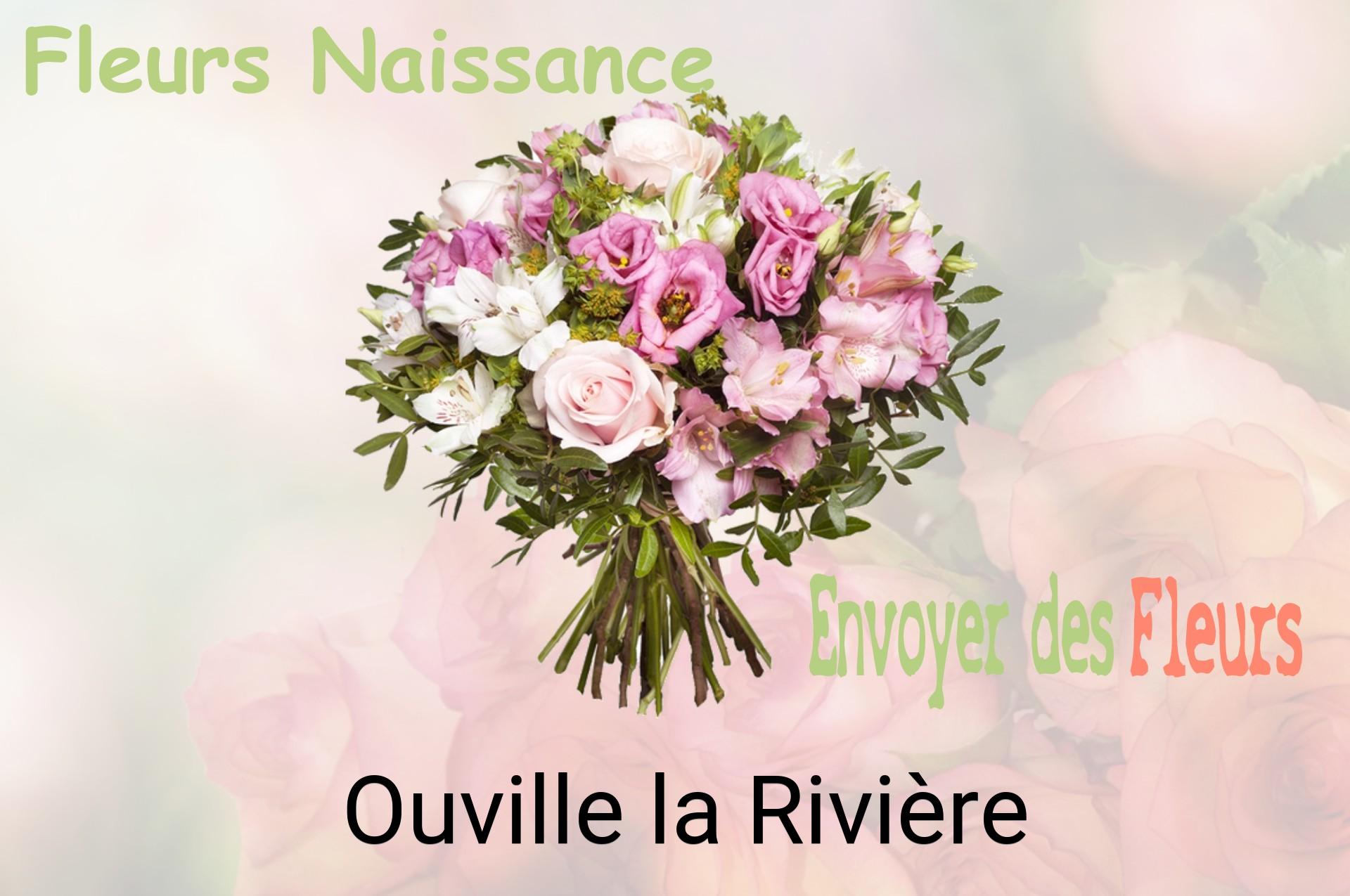 Bouquet de fleurs de naissance livré à Ouville-la-Rivière